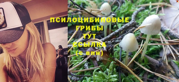 MESCALINE Вязьма