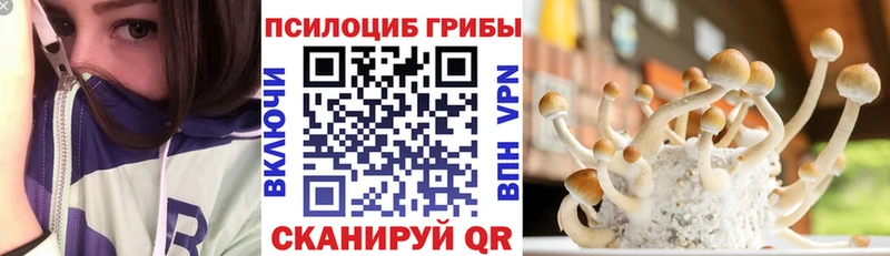 Купить закладки  Кохма  Галлюциногенные грибы мицелий 